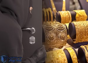بیمه سرقت چیست؟