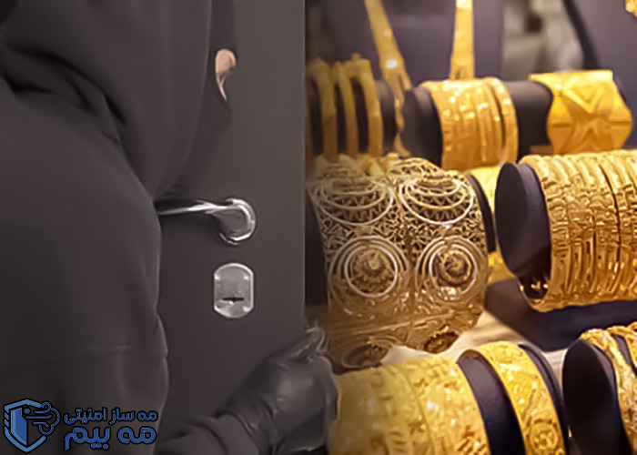 بیمه سرقت چیست؟